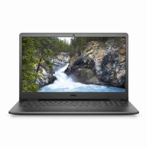 DELL INSPIRON 15 3501-01-min